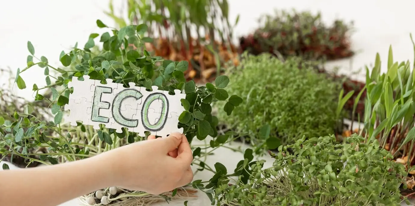 Ein Puzzle mit der Aufschrift „eco“ in den Händen vor dem Hintergrund von Microgreens.