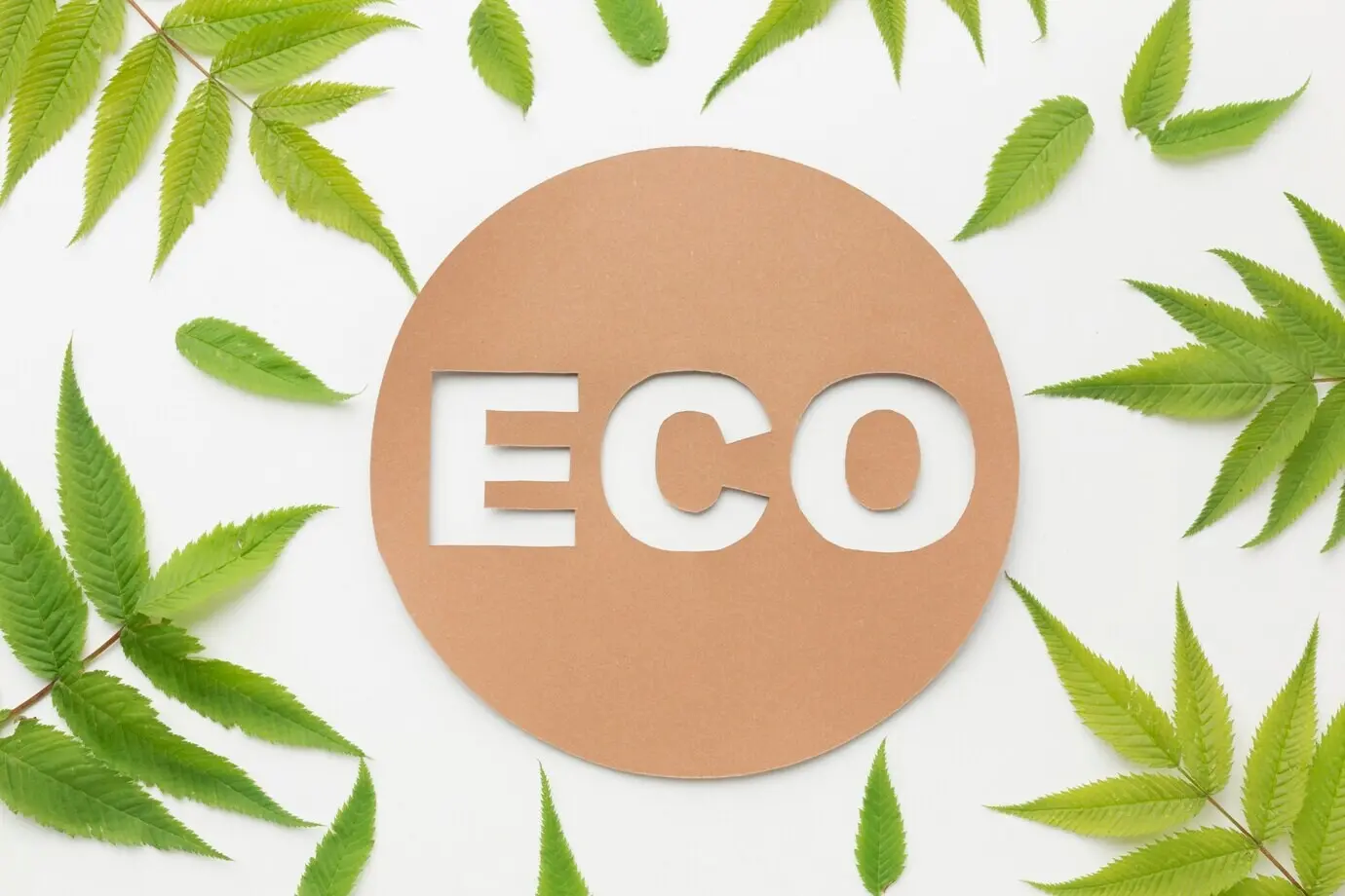 Bitte sende mir die ursprüngliche Bildbeschreibung, damit ich sie auf Deutsch umformulieren kann.