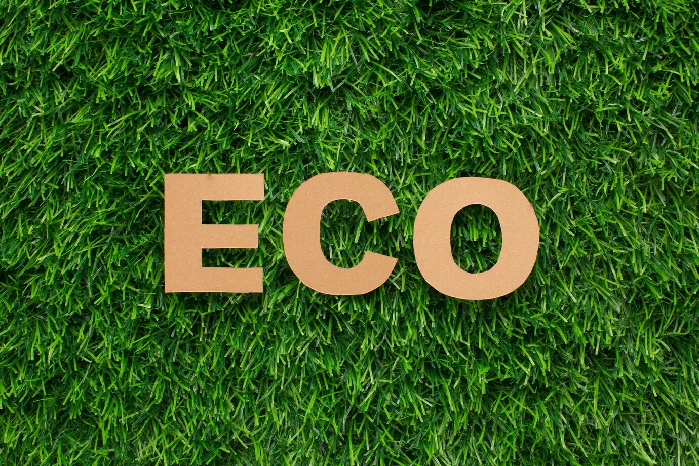Im Gras befindet sich das Wort „Eco“.